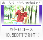 �z�[���y�[�W�����̋��z�ŁI���C���R�[�X10,500�~�Ő���